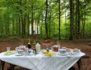 Crea Diem Bokcafé
Taste the Countryside
tastethecountryside.se