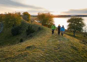 Vandring vid Hornborgasjön
