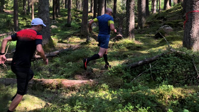 I Ulricehamn finns utmärkta fina trailspår i varierande natur.