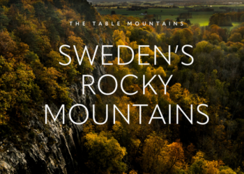 Forest-covered mountains