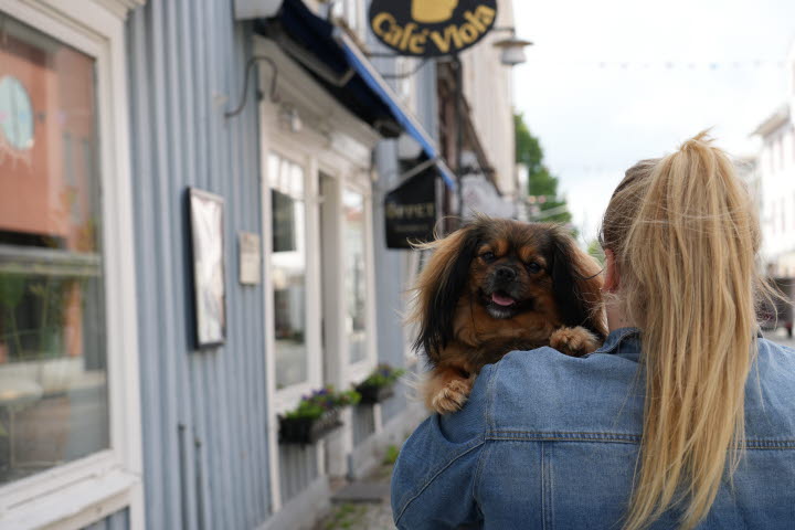 Tjej med tofs och jeansjacka bär en liten hund.