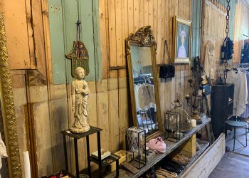 Hedvig Charlotta Agency