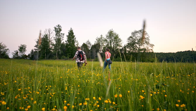 Vandra i Dalsland