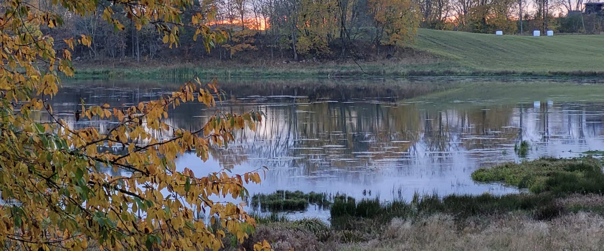 En sjö. Framför sjön finns en sittbänk. I förgrunden syns gula höstlöv.