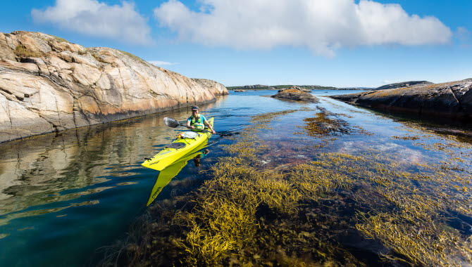 Kajak i Bohuslän