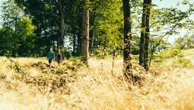Hike at Åsundenleden