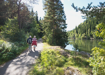 Ett par vandrar längst vattnet i ett naturområde.