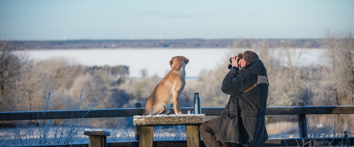 Man sitting with binoculars. Dog sitting next to a wooden table at the rest area. It is winter.