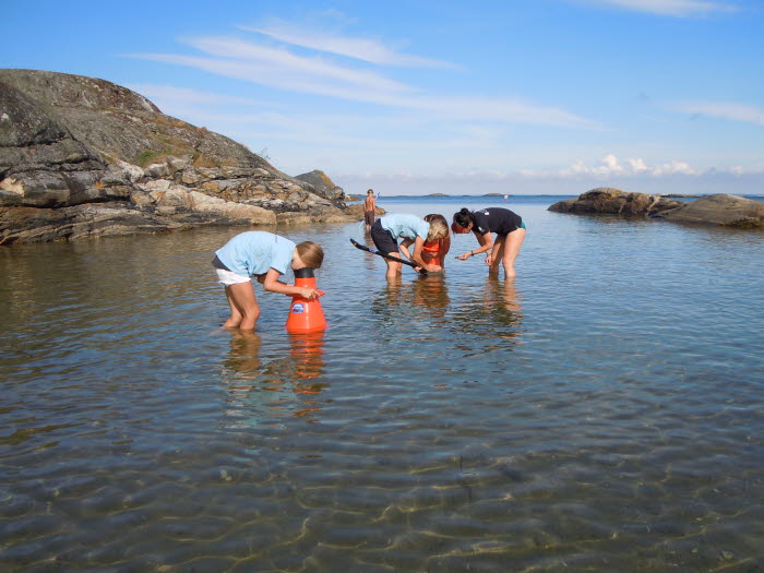 Strandguidning med vattenkikare i Kosterhavets nationalpark. 