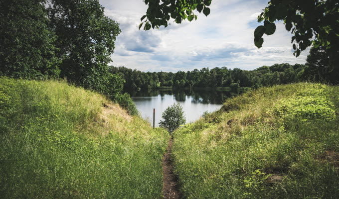 En stig som leder ner till en liten sjö i en skog