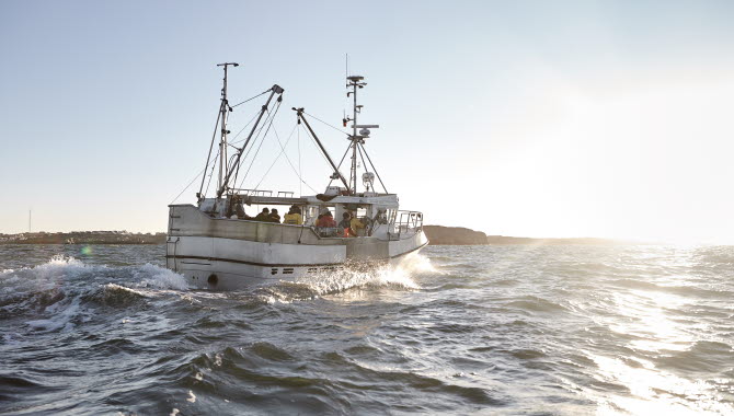 Fiskebåt på öppet hav