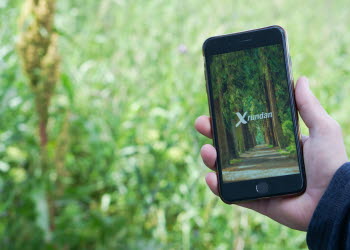 Mobiltelefon som visar upp Xrundan, digital Rankåspromenad