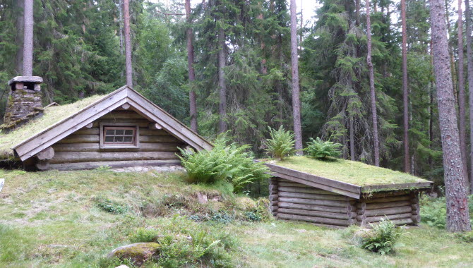 Gammal gräsbevuxen jordkula/stuga i naturen