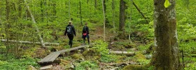 Hikers at Trail Hultleden in Mollaryd