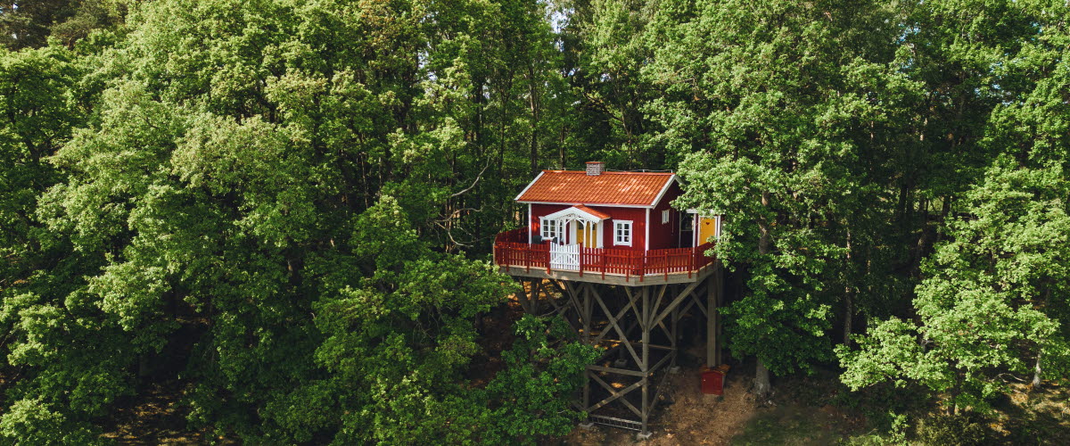 Treehouse hotel