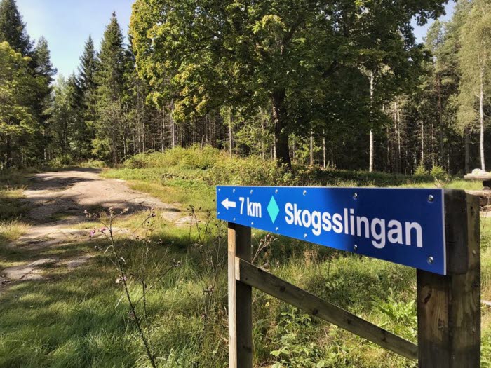 Skogsslingan - Blå spåret