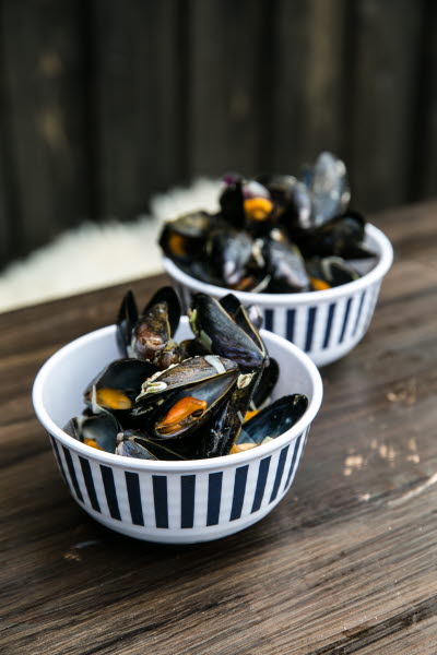 Lysekil, Käringeholmen