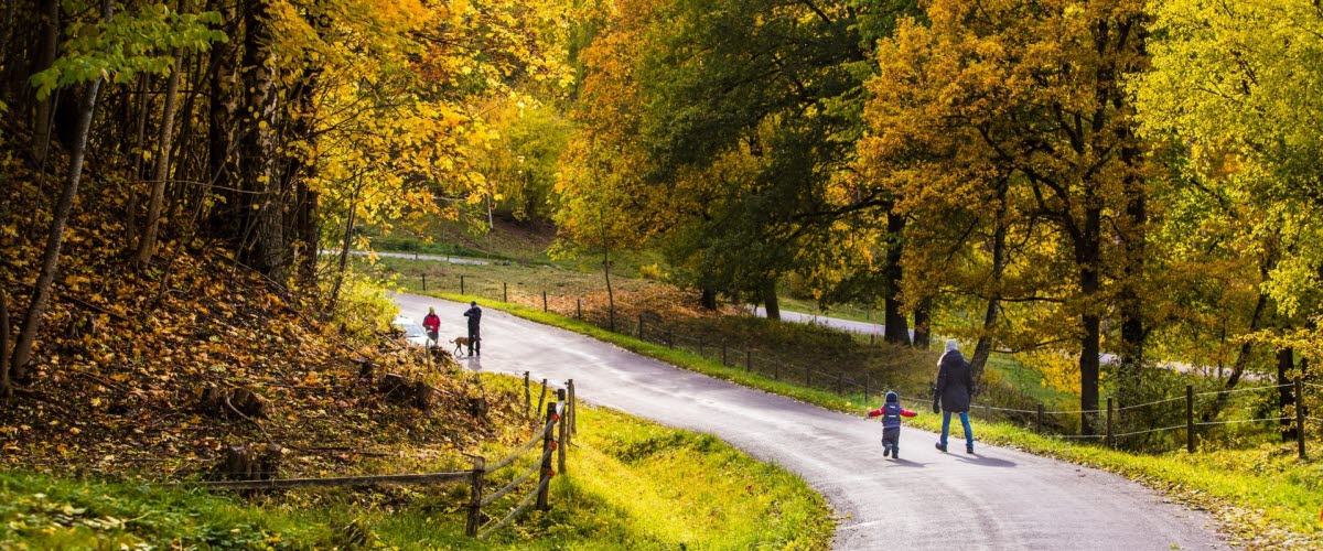 En familj som tar en promenad i den höst-färgade skogen. 
