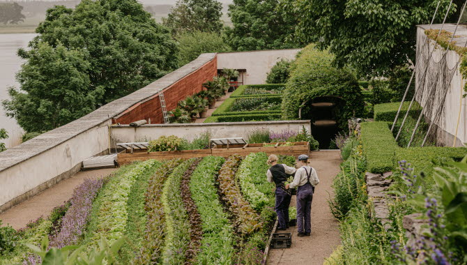 Garden at Läckö Castle
