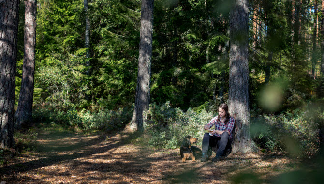 A woman with dog is sitting and resting against a tree at a path. At Hökensås hiking trail 11.5 km.