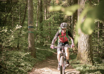 En bild på en man som cyklar på en stig i skogen.