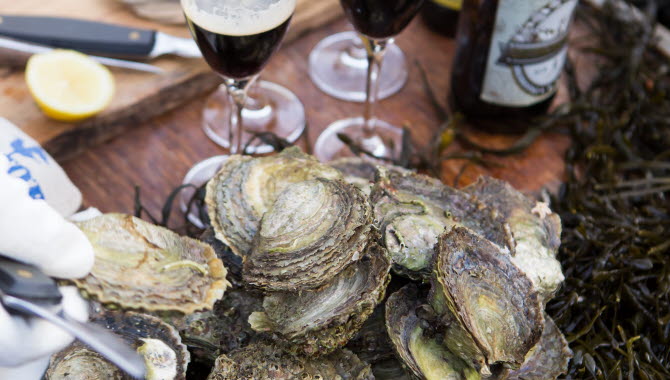 Porter and oysters