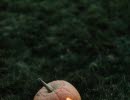 Halloweenpumpa på gräsmatta