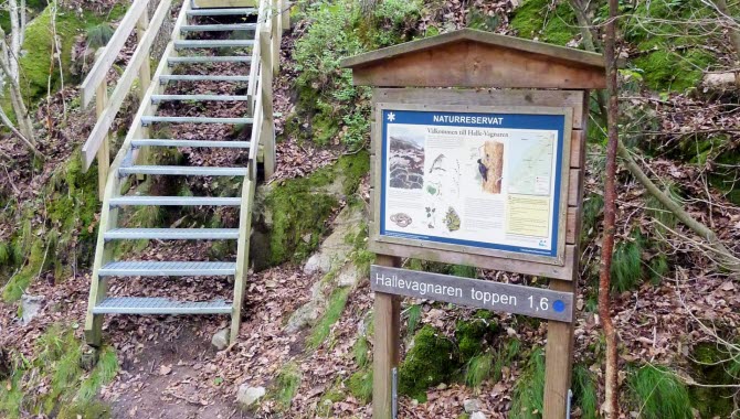 En trappa av trä leder upp för en brant backe i naturreservatet Halle-Vagnarens skog. I förgrunden står en tavla av trä med information om reservatet.