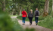 Människor som promenerar i skogsmiljö.