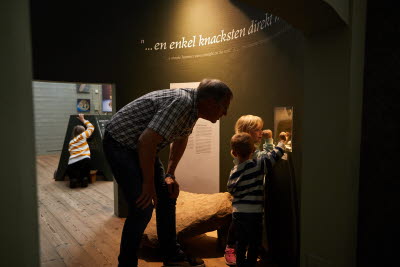 Vitlycke Museum, Tanumshede