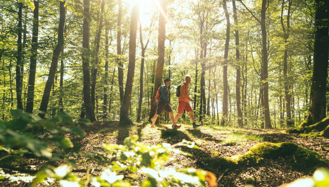 Hike at Hyssnalede