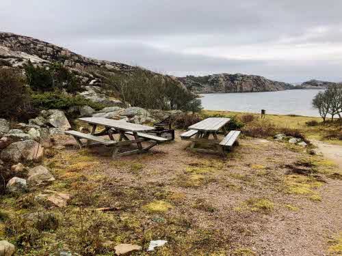 Närrkärr vid stranden, höst