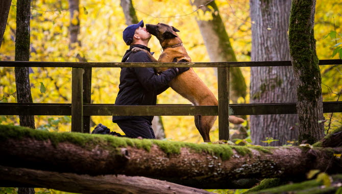 Hund och en man på en bro. Träden har höstfärger i gult.