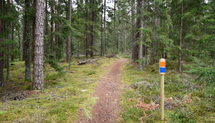 Björkehovs IS vandringsleder
