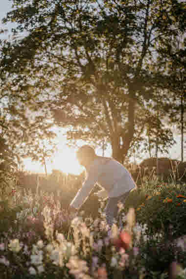 Fridas Blomster, Brämhult