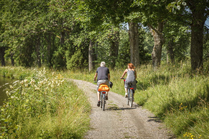 En bild tagen bakifrån på två vuxna som cyklar längs en grusväg i lummig natur