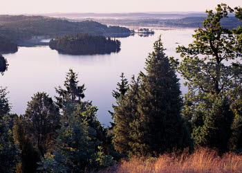 En bild på en vacker utsikt över skog och sjö i höstfärger.