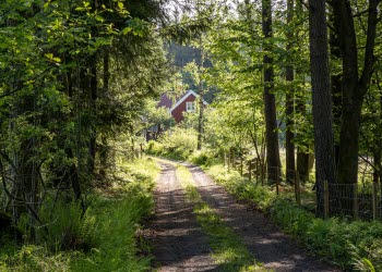 En grusväg i skogen med skog längs sidorna. I bakgrunden kan man se delar av ett rött hus med vita knutar