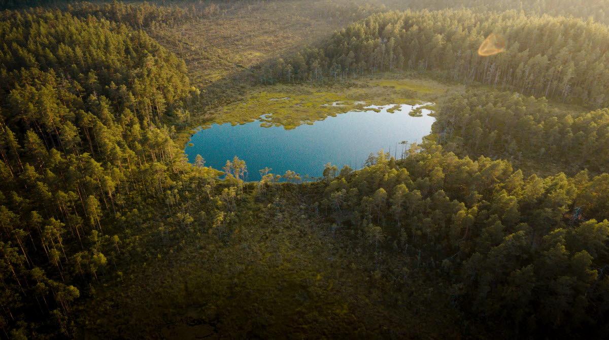 Hökensås-drönarbild-natur-sjö-skog-tidaholm