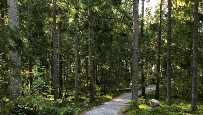 Grusad stig i Ulricehamn