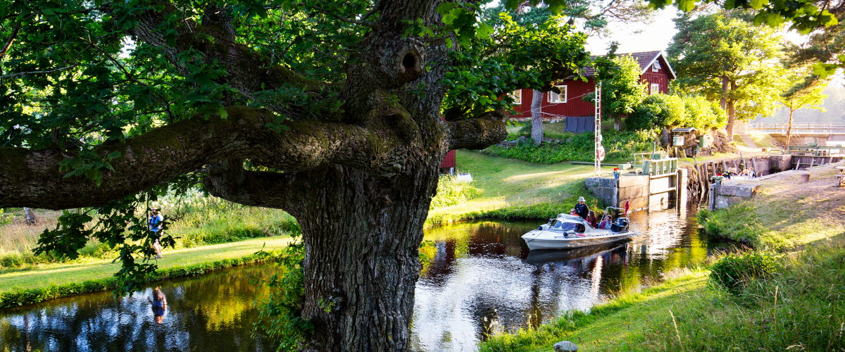 Naturen i Dalsland