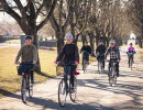 Six people cycling in an alley with trees.