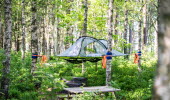 Tent haning in trees.