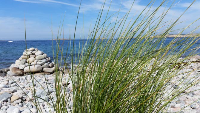 Strandbild på Saltö
