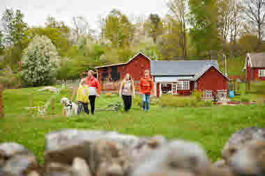 Sjöbacken Gård, Lerdala