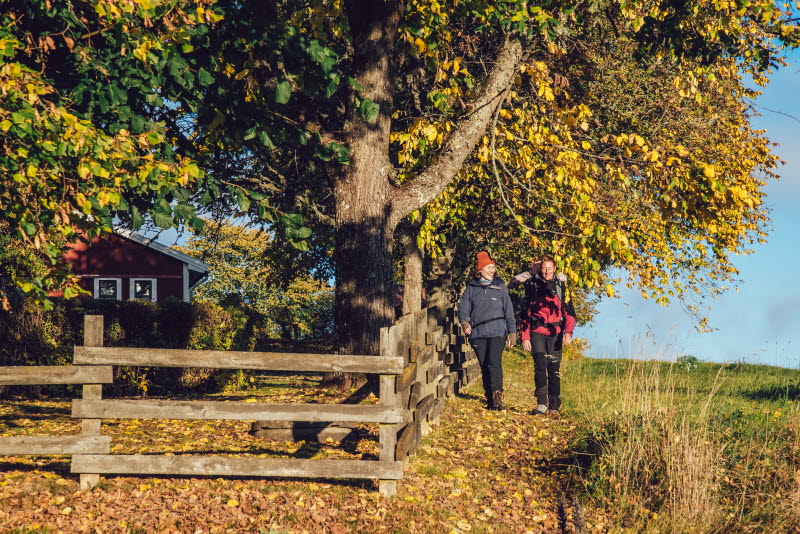 Biosfärleden_8312- Photo Cred NORR_Melanie Haas.jpeg