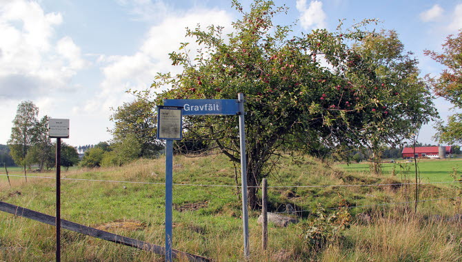Nolby gravfält på Torsö, Mariestad.
