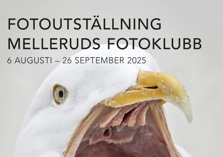 Kalenderbild