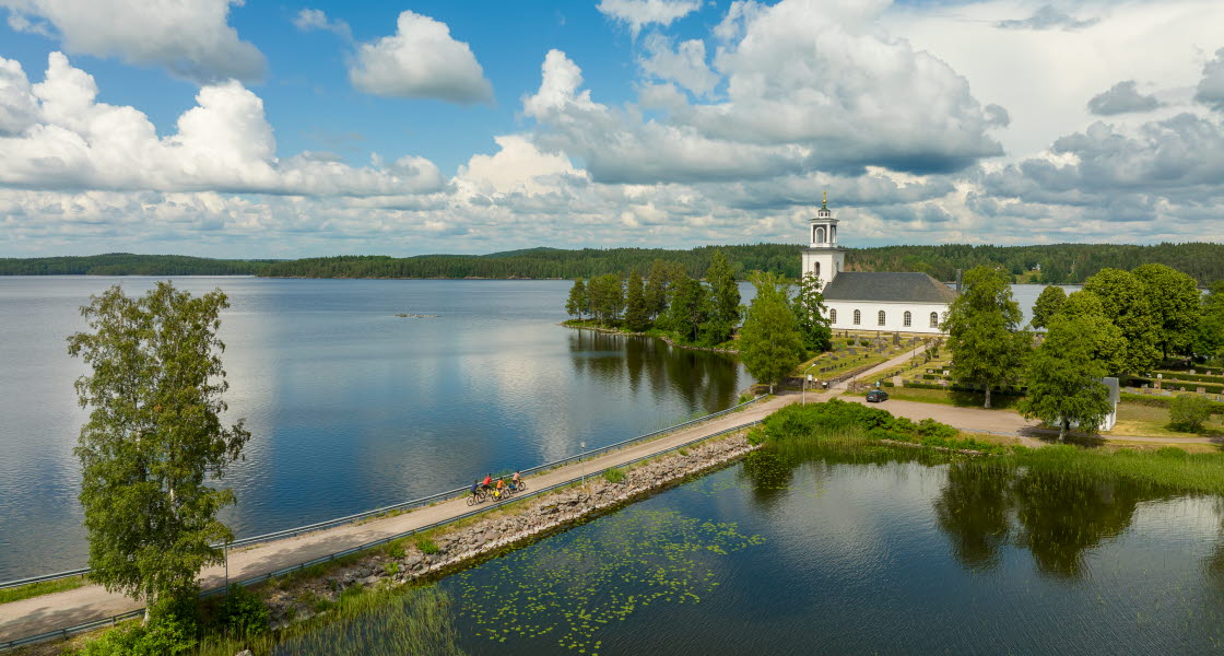 Cyclists on forest roads.