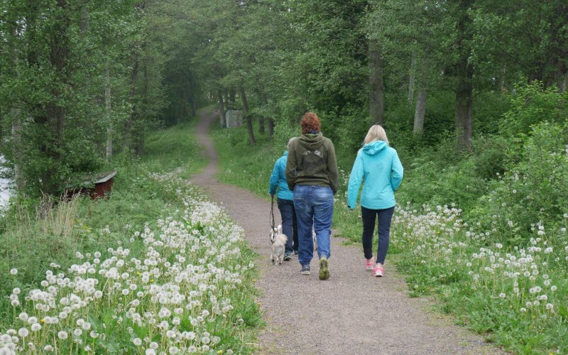 Tengenepromenaden